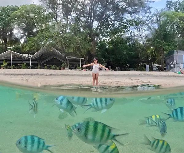 Snorkeling Tour